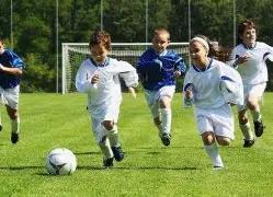 阿莫林曼联,执教之路,球迷评分大,凤凰彩票官网,凤凰彩票品牌,凤凰彩票精彩