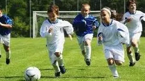 《阿莫林曼联执教之路：球迷评分大揭秘！》